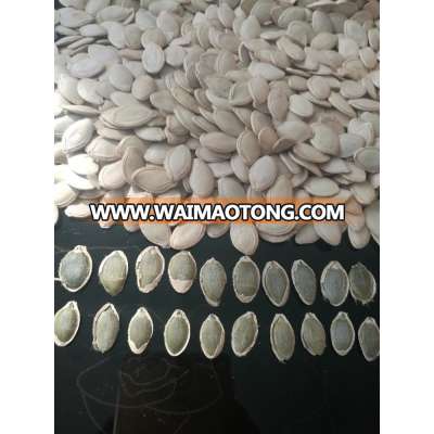 shine skin pumpkin seeds price