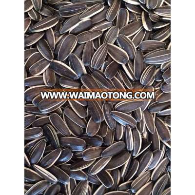 Chinese sunflower seeds 5009/0409/363