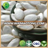 White Snow Pumpkin Seeds Bulk Pumpkin Seeds For Sale