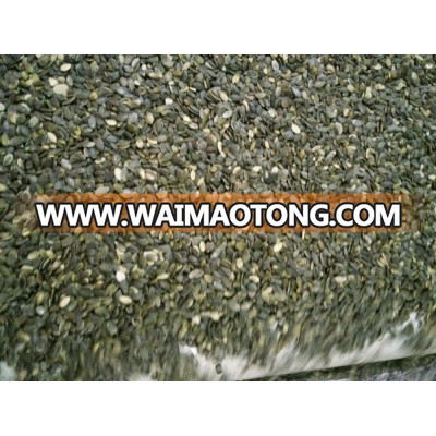 wholesale pumpkin seeds kernels GWS A