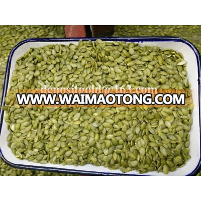 China shine skin pumpkin seeds kernels