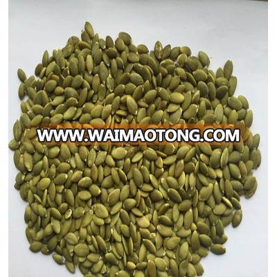 whosale top grade pump seeds kernel AA