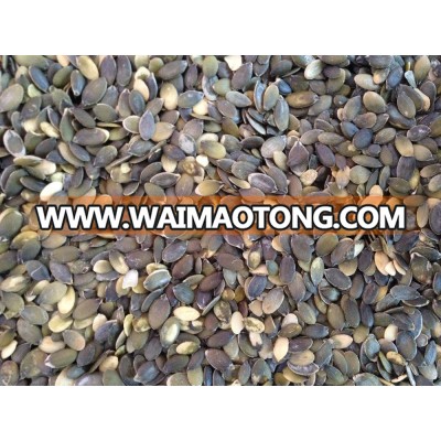 China pumpkin seeds kernel grown without shell Grade A