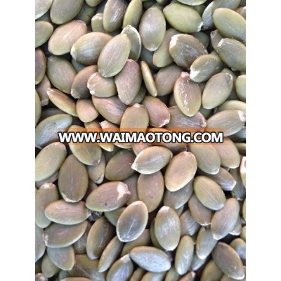 shine skin pumkin seeds kernels Grade A from Inner Mongolia