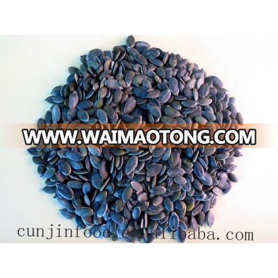 China GWS pumpkin seeds