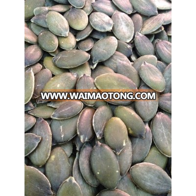 China pumpkin seeds GWS Grade AA